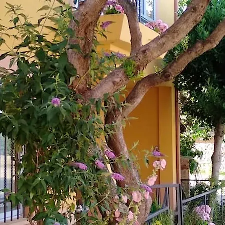 Сasa de vacaciones Holiday Calle Escuela Sarraci *